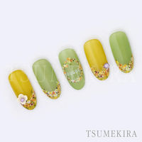 TSUMEKIRA(ツメキラ) ネイルシール TSUKIプロデュースPetalorange NN-TSU-003 1セット(3枚)（直送品）