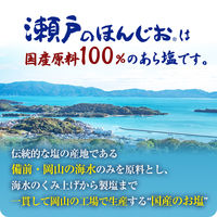 味の素 瀬戸のほんじお 300g袋 1個　塩