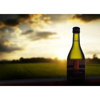 菊水酒造 菊水 純米吟醸 オーガニック 300ml 1本 日本酒 新潟 有機米100%