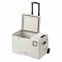 アイリスオーヤマ ポータブル冷蔵冷凍庫 30L IPD-3B-W 1台