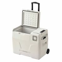 アイリスオーヤマ ポータブル冷蔵冷凍庫 40L IPD-4B-W 1台
