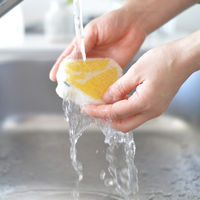 （100%天然素材）ポップアップスポンジ 水でふくらむ キッチンスポンジ カタカタ かもめ 1個 イーオクト