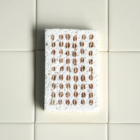 （100%天然素材）ポップアップスポンジ 水でふくらむ キッチンスポンジ 十鶴 コーヒー豆 1個 イーオクト