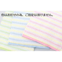 日繊商工 泉州タオル「フレッシュボーダー(色はお任せ)」ほんの気持ちですの熨斗付き T250-kimoti-80 1箱(80個入)（直送品）