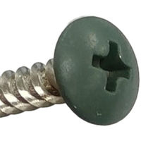 山喜産業 ステンレス着色役物ビス つや消し緑 3.8×25mm SY-25M 1箱(500本入)（直送品）