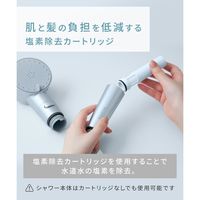 SALONIA（サロニア) 塩素除去 クリアケアカートリッジ シャワーヘッド I-ne