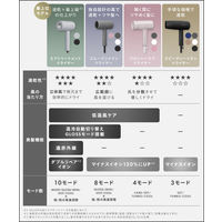 SALONIA（サロニア）　スピーディーイオンドライヤー グレー 大風量 速乾 軽量 ヘアドライヤー  I-ne