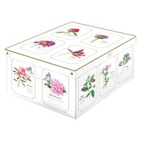 メテックス イタリアン スタッキングコンテナー ボタニカルL LVTBXBLL 1箱（直送品）