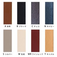 日本紐釦貿易 本革ショルダーストラップ 撥水加工 金具ゴールド 細巾 12mm チョコ KT60-G-C 1袋1本(2袋、合計2本)（直送品）