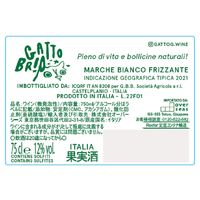 オーバーシーズ イタリア ガット・ブリオ ザ・ペット 微発泡 スパークリングワイン　白 辛口 750ml 1本