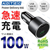 シガーソケット最大100W / Type-C Type-A x1 ACPD-V100AC 1個