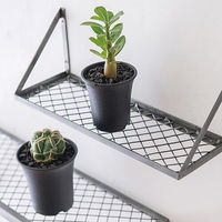 ポッシュリビング メッシュラックS シルバー W31×D10×H11cm アイアン 63783 1個（直送品）