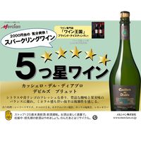 【アウトレット】カッシェロ・デル・ディアブロ　デビルズ　ブリュット　750ml　白泡　辛口　チリ　1本