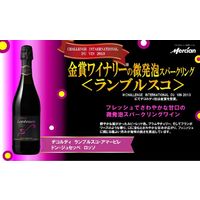 イタリア デコルディ ランブルスコ アマービレ ドンジュセッペ 赤 やや甘口 スパークリングワイン 750ml 1本 メルシャン