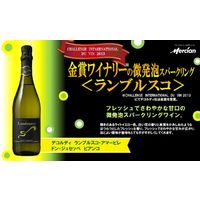イタリア デコルディ ランブルスコ アマービレ ドンジュセッペ 白 やや甘口 スパークリングワイン 750ml 1本 メルシャン