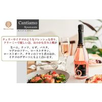イタリア カンティアーモ スプマンテ ロゼ やや辛口 スパークリングワイン 750ml 1本 メルシャン