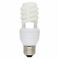 オーム電機 エコなボール EFD15ED/12N 1個（わけあり品）