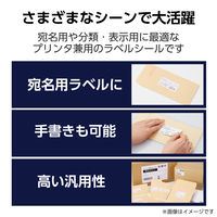 ラベルシール 表示・宛名ラベル プリンタ兼用 12面 A4  四辺余白 50シート エレコム EDT-ECNL12BS50 1個（直送品）