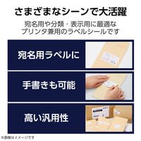 ラベルシール 表示・宛名ラベル プリンタ兼用 10面 A4  四辺余白 22シート エレコム EDT-ECNL10S22 1個（直送品）