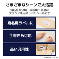 ラベルシール 表示・宛名ラベル プリンタ兼用 12面 A4  角丸 22シート エレコム EDT-ECNLR12AS22 1個（直送品）