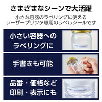 ラベルシール 表示・宛名ラベル プリンタ兼用 125面 A4  角丸 10シート エレコム EDT-ECNLR125S10 1個（直送品）