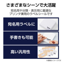 ラベルシール 表示・宛名ラベル プリンタ兼用 65面 A4  角丸 22シート エレコム EDT-ECNLR65S22 1個（直送品）