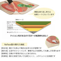 【軒先渡し】コイズミファニテック Hagu はらぺこあおむし 畳マット 900×900mm アップル HG-RM750 1枚（直送品）