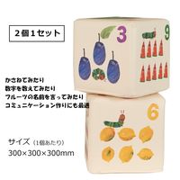 【軒先渡し】コイズミファニテック Hagu あおむしナンバースクッション 1辺300mm HG-HA731 1セット(2個入)（直送品）