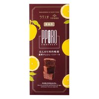 ポロショコラ ほんのり河内晩柑 1セット（1本×2） サンクゼール チョコレート菓子 ケーキ