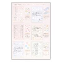 エヌビー社 DN B5便箋 吉祥文様 3000202 1セット(1個(6柄アソート30枚入)×10)（直送品）