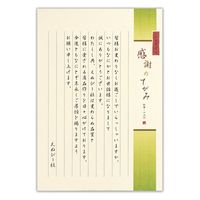 エヌビー社 伝えるきもちB5便箋 縦罫 5300201 1セット(1個(2色アソート30枚入)×10)（直送品）