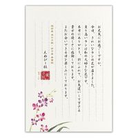 エヌビー社 伝えるきもちB5便箋 デンファレ 5300204 1セット(1個(2色アソート18枚入)×10)（直送品）