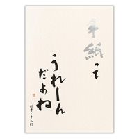 エヌビー社 高級便箋 手紙ってうれしんだよねA 5600307 1セット(1個(40枚入)×10)（直送品）