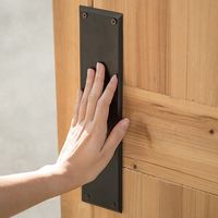 ポッシュリビング プッシュプレート ブラック W7×D0.5×H30.5cm アイアン 63555 1個（直送品）