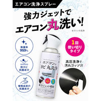 クリーンプラネット エアコンのカビ丸洗浄 420mL 1個 Blessing