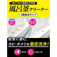 クリーンプラネット 風呂釜のカビ丸洗浄 1個 Blessing