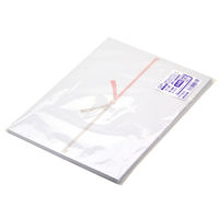 ササガワ OA対応のし紙(熨斗紙) B5判 五本結切 京 のし無し 2-518 1冊(100枚)