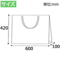 シモジマ ファッションバッグ Fタイプ LL 黒 008738802 1袋(10枚)