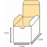シモジマ フリーBOX Fー54 006205410 1束(10枚)
