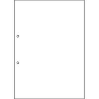 ヒサゴ A4NC白紙2穴 FSCF2001 1冊