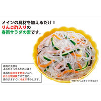 堂本食品 春雨サラダの素 160g×12個 4904566283524 1セット(12個)（直送品）