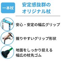 竹虎 バンブーステッキワイド ブルー 104981 1本