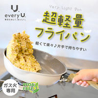 ランテル・メディエール every U. 軽量卵焼きフライパン 13x18cm LN-2419_S 1個（直送品）