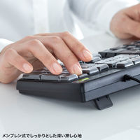 サンワサプライ プログラマブルキーボード SKBーP1BK 1個