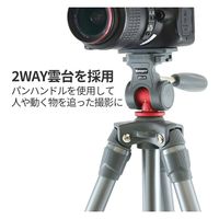 Fotopro 中型三脚 S3-LIVE-RD 1台（直送品）