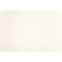 アイリスオーヤマ ナチュかるフライパン20cm IHガス火対応 NTL-F20PG 1個（直送品）