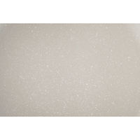 アイリスオーヤマ ナチュかるフライパン24cm IHガス火対応 NTL-F24MO 1個（直送品）