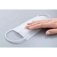 アイリスオーヤマ DAILY FIT MASK なめらかタッチ 小さめ 7枚入 PKーDH7SW 1個（直送品）