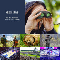 APEXEL 防水双眼鏡 APL-PB10X25N 1台（直送品）