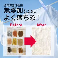 洗濯用重曹プラス 600g 衣料用洗剤 粉末洗剤 1個 丹羽久